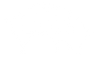Big Fork Logo with pig